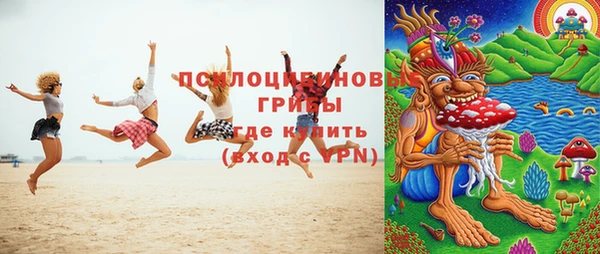 ГАЛЛЮЦИНОГЕННЫЕ ГРИБЫ Алексин