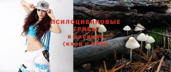 ГАЛЛЮЦИНОГЕННЫЕ ГРИБЫ Алексин