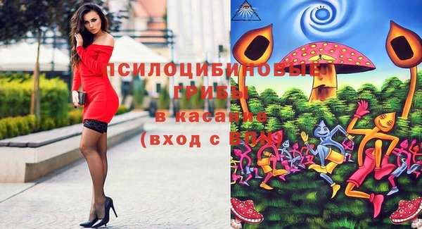 ГАЛЛЮЦИНОГЕННЫЕ ГРИБЫ Алексин