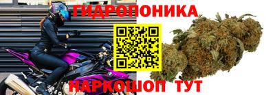 кокс Тара