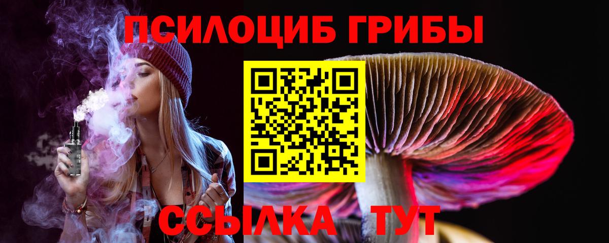 Псилоцибиновые грибы MAGIC MUSHROOMS Нововоронеж